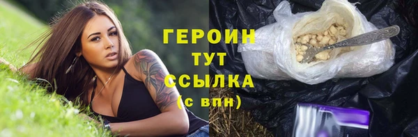 гидра Козловка