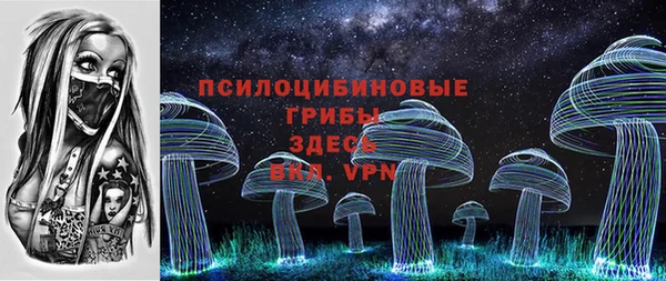 гашик Краснослободск