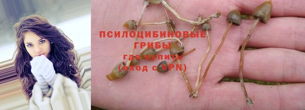 гидра Козловка