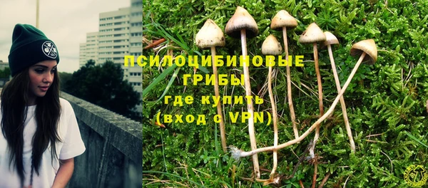 герыч Корсаков