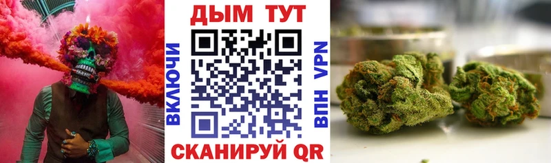 цена   Кирсанов  Бошки Шишки тримм 